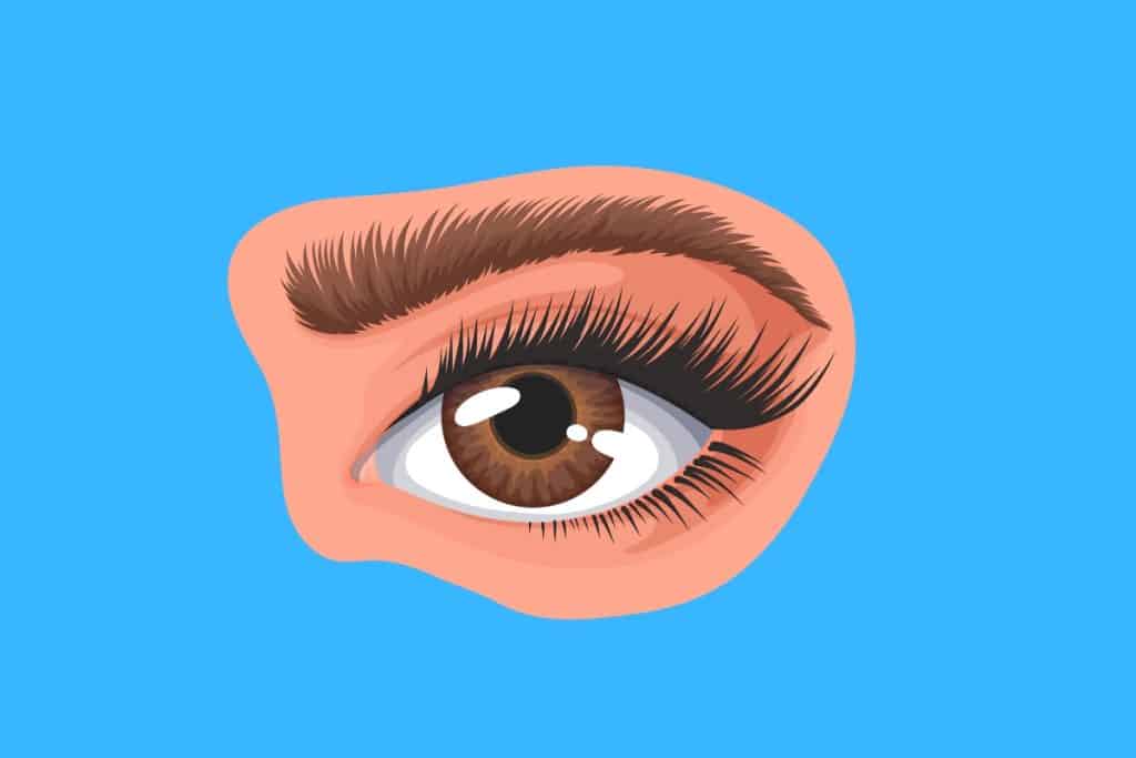 Cartoon graphic of an eye and eyebrow on a blue background.