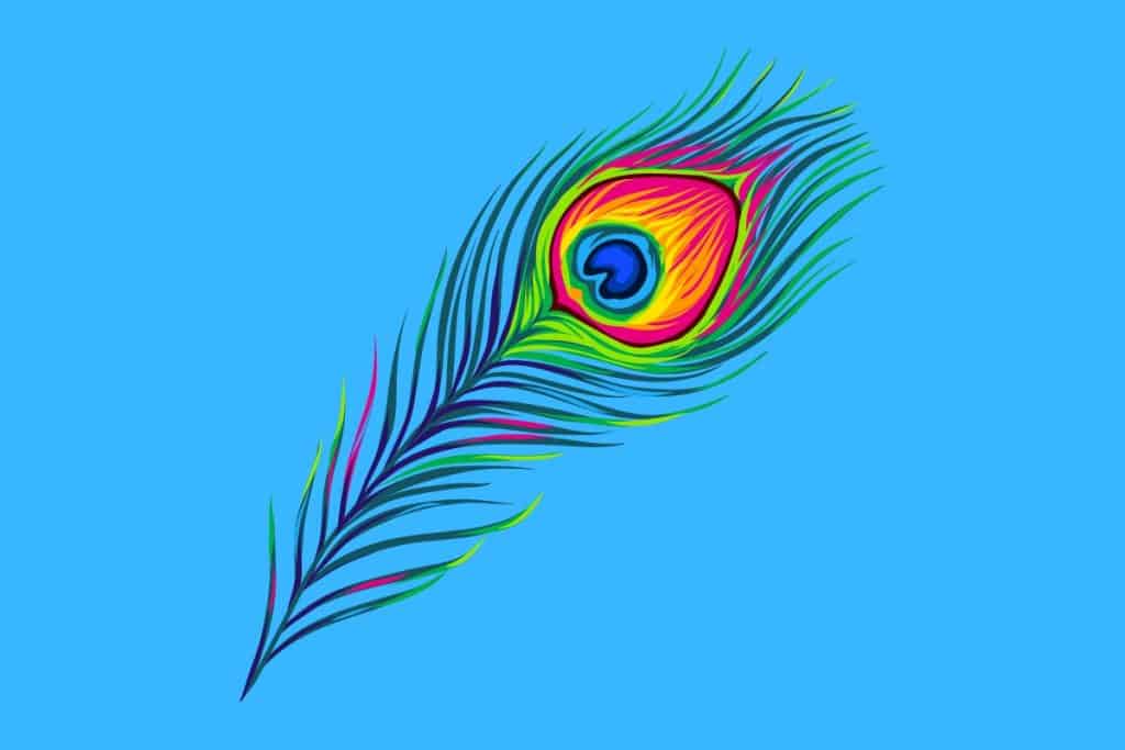 Cartoon graphic of a peacock feather on a blue background.