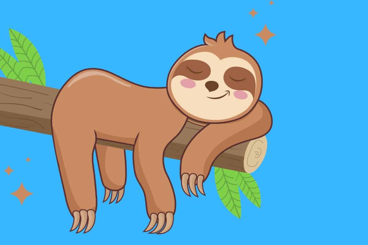 50 Funny Sloth Jokes - Here's a Joke