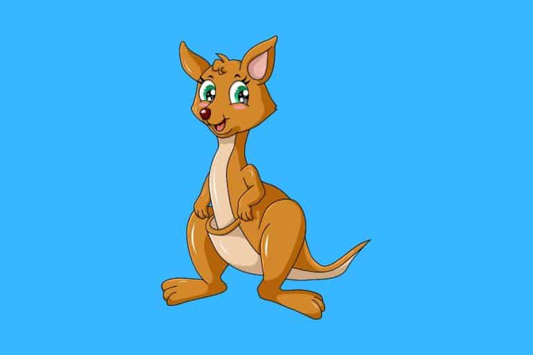 40 Funny Kangaroo Jokes Here's a Joke