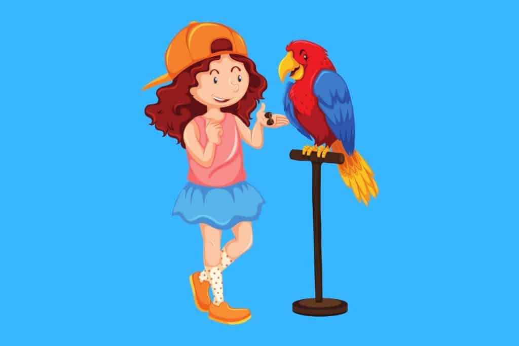 Cartoon graphic of a firl feeding a parrot on a perch on a blue background.