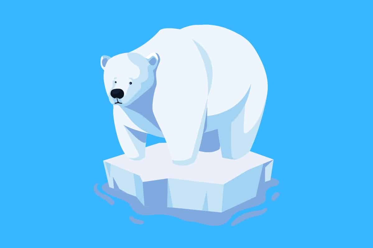 Cartoon graphic of a polar bear standing on a small block of ice on a blue background.