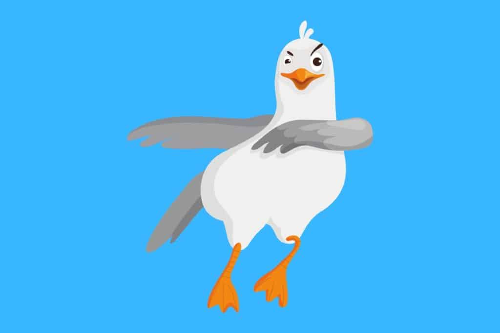 Cartoon graphic of a seagull doing a dab with its wings on a blue background.