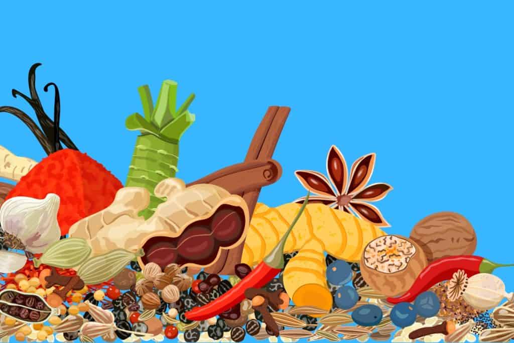 Cartoon graphic of lots of different spices on a blue background.