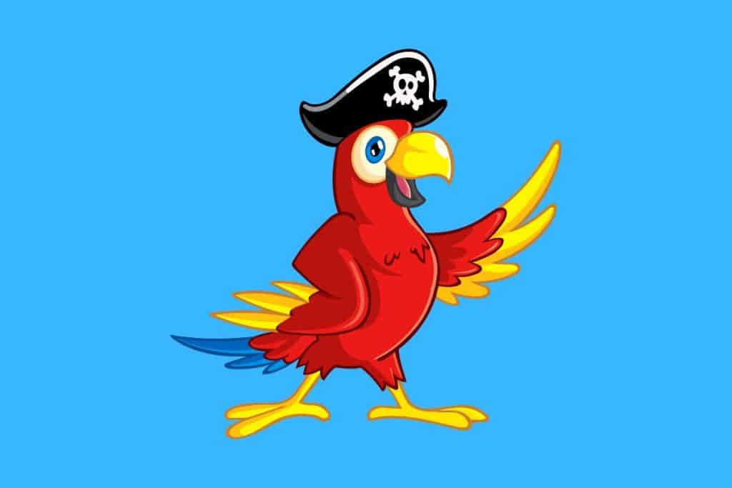 Cartoon graphic of a parrot wearing a pirate hat on a blue background.