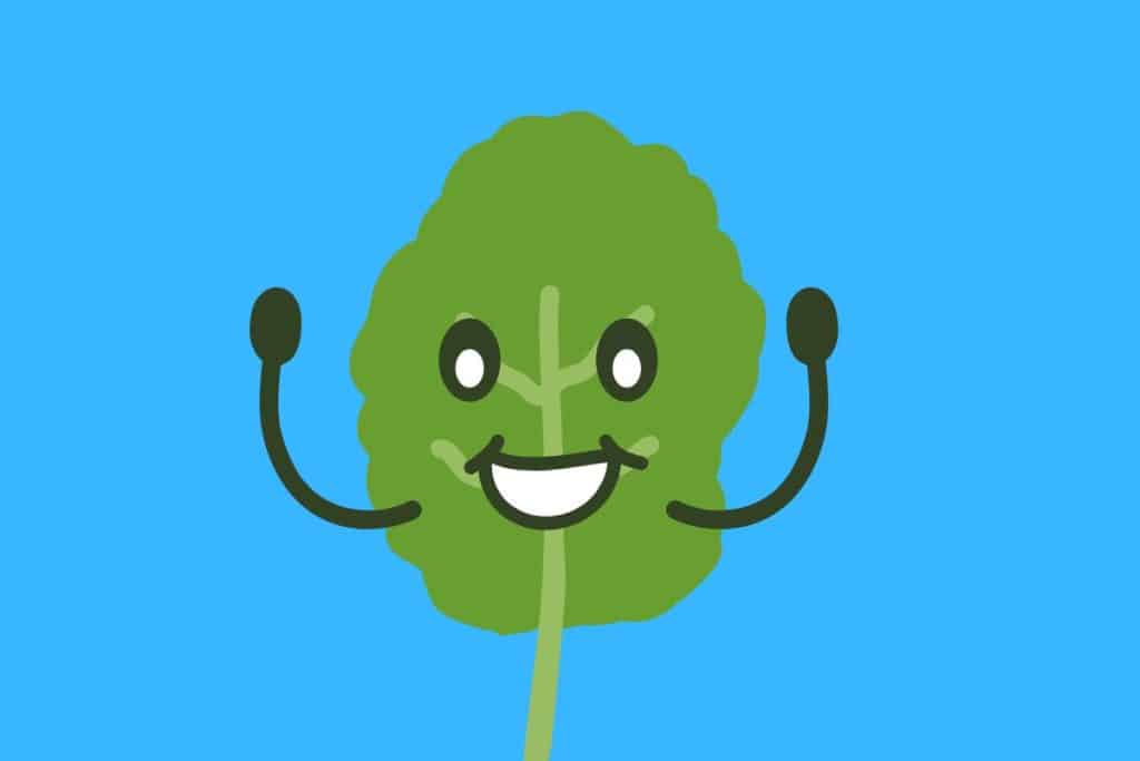 Cartoon graphic of a kale leaf with arms and a wide smiling face on a blue background.