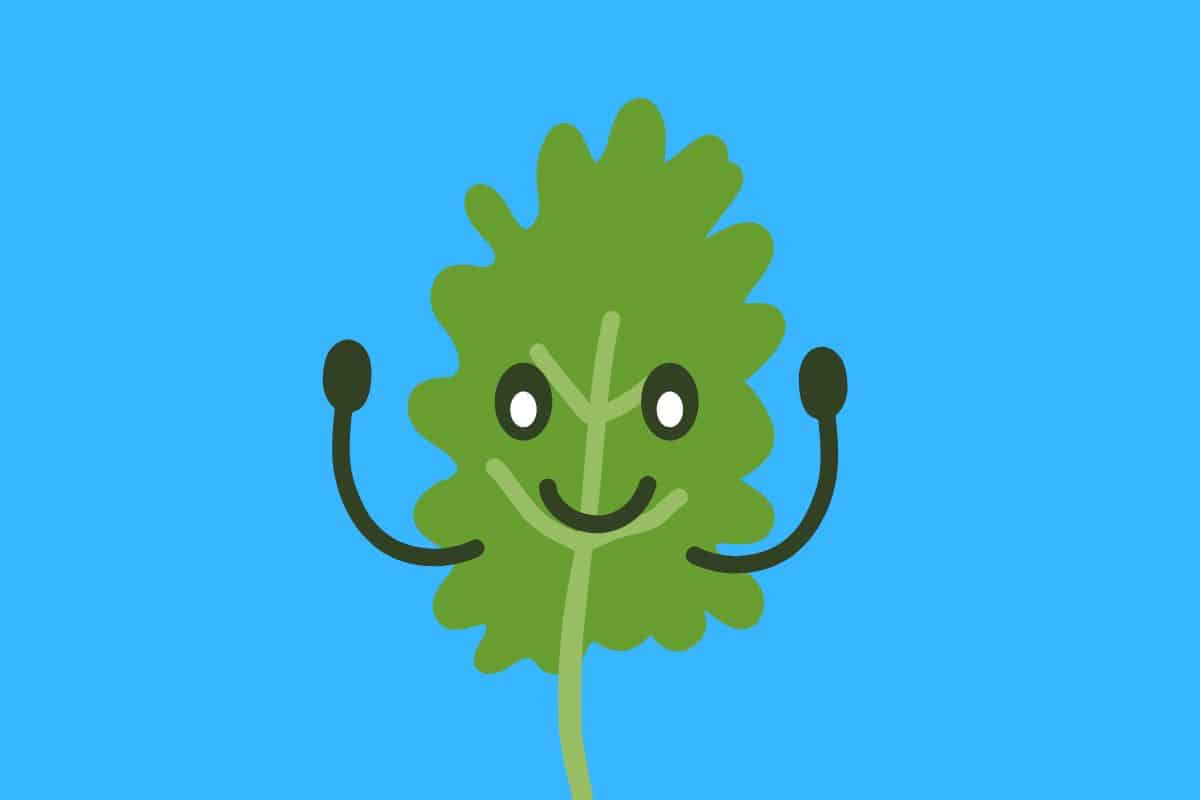 35 Funny Kale Puns Here's a Joke