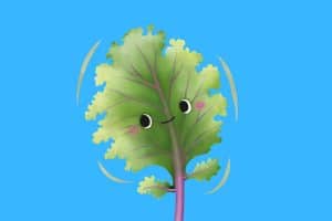 Cartoon graphic of a kale leaf with a smiling face on a blue background.