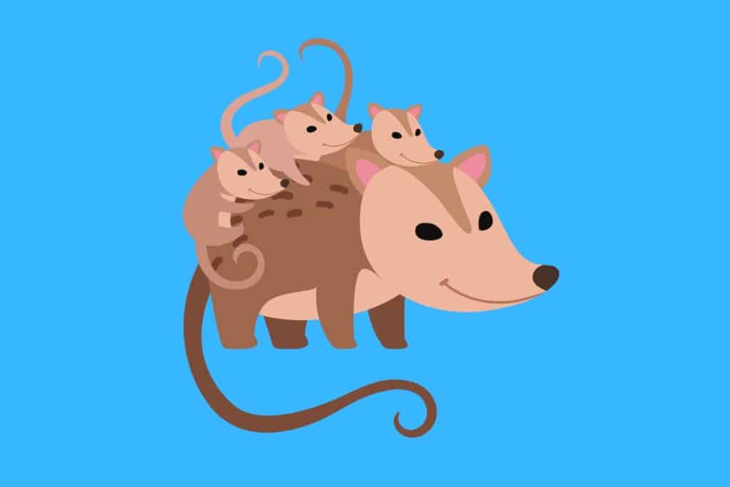 Cartoon graphic of a possum with 3 baby possums on its back on a blue background.