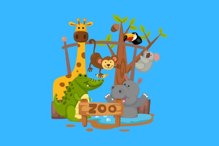 45 Funny Zoo Puns Here's a Joke