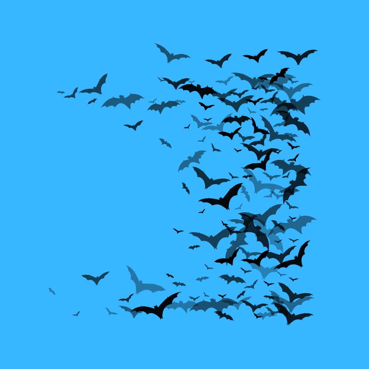 Cartoon graphic of a swarm of bats to symbolize batman on a blue background.