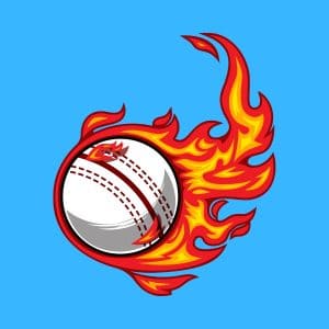 40 Funny Cricket Jokes - Here's a Joke
