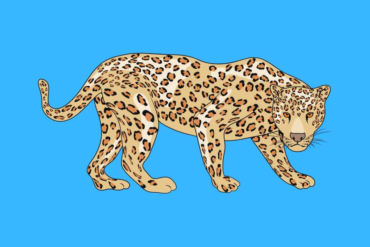 Cartoon graphic of a leopard stalking on a blue background.