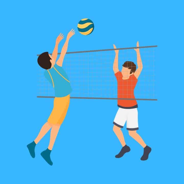 30 Funny Volleyball Puns Here's a Joke