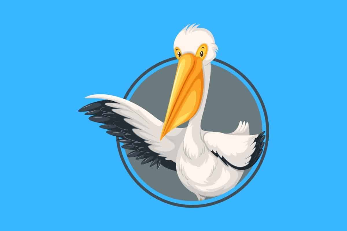 Cartoon graphic of a pelican coming out of a grey circle on a blue background.