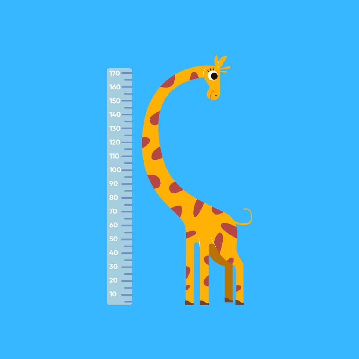 Cartoon graphic of a giraffe standing next to a ruler to measure its height on a blue background.