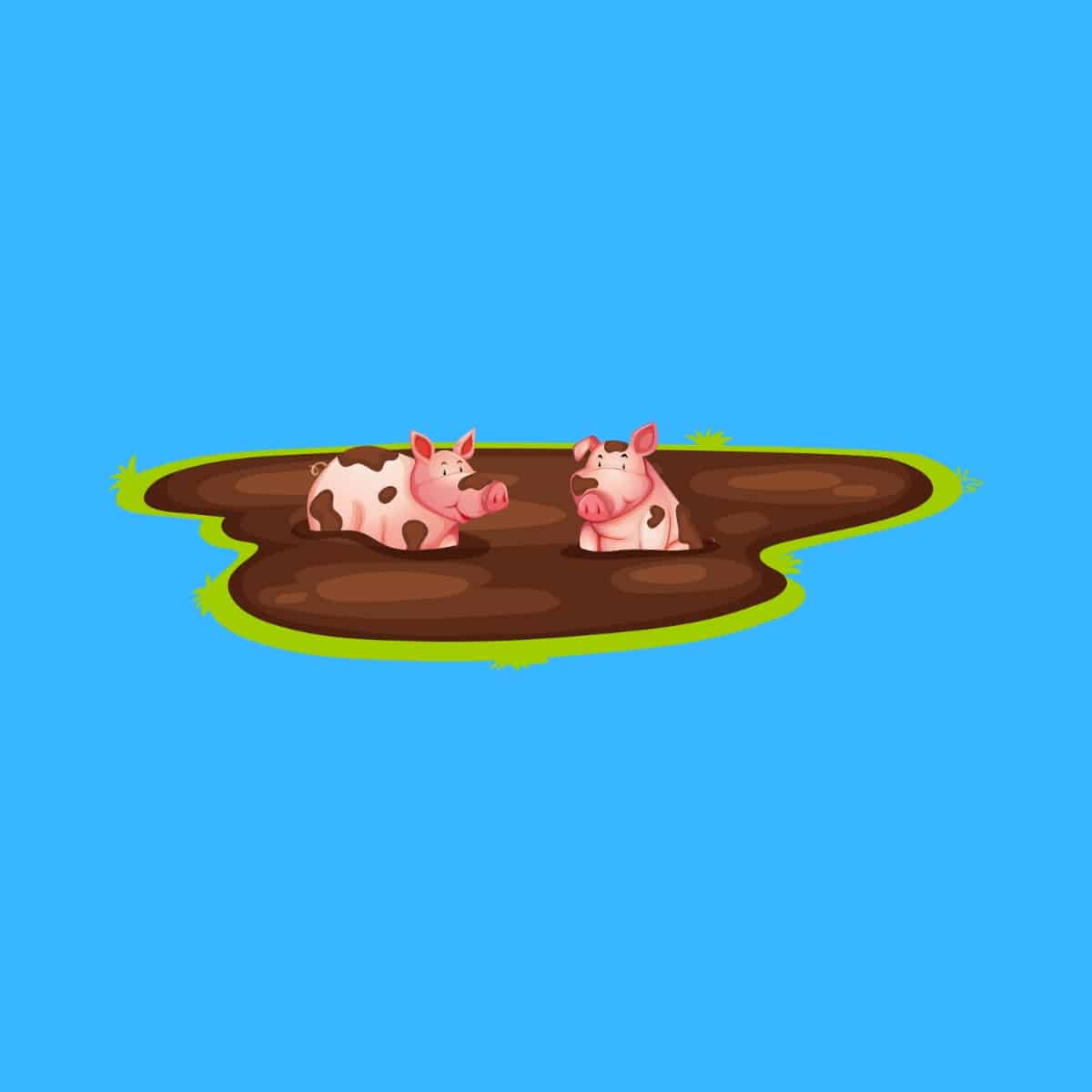 Cartoon graphic of two pigs in a mud pit on a blue background.