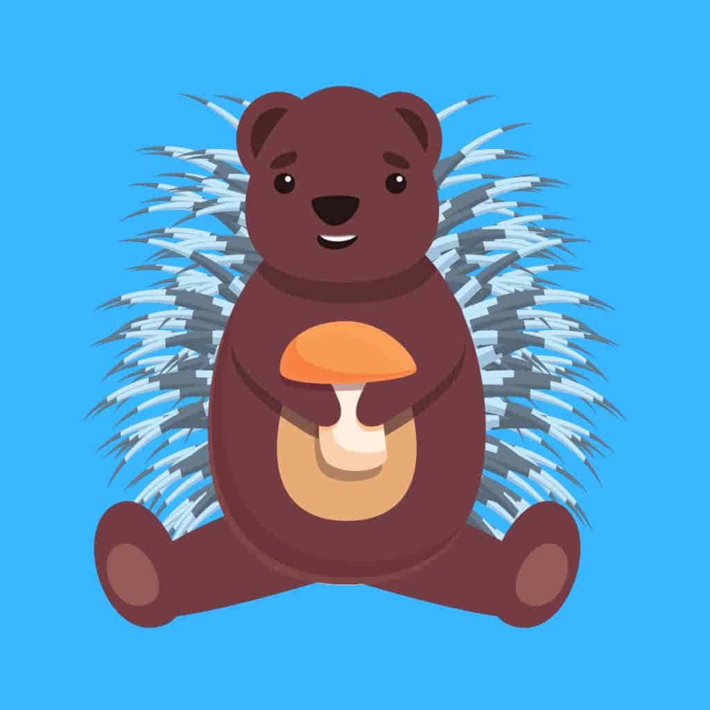 20 Funny Porcupine Jokes Here's a Joke