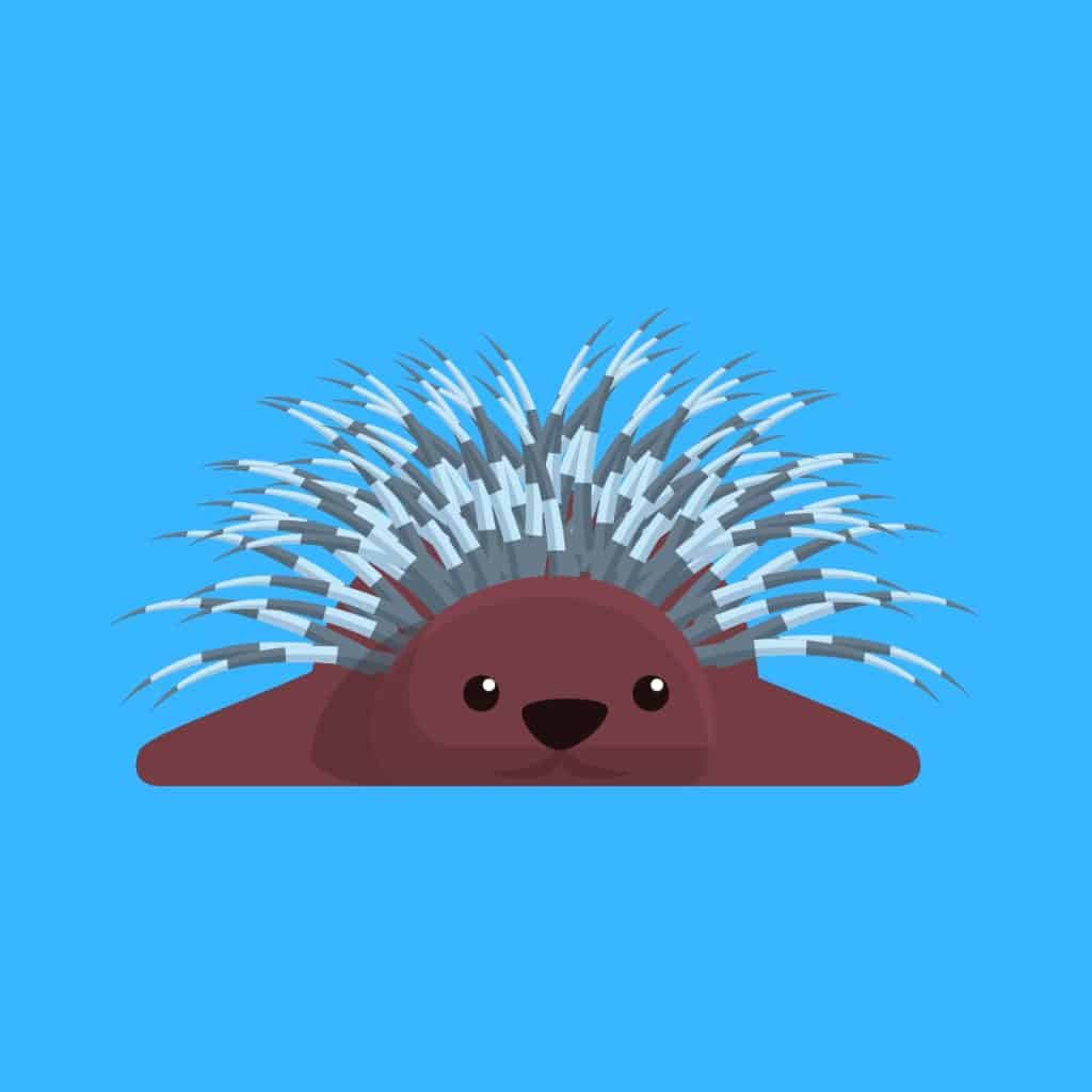 Cartoon graphic of a porcupine lying on its belly on a blue background.