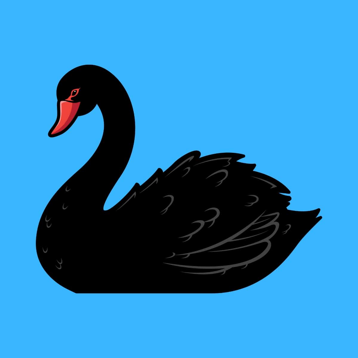 Cartoon graphic of a black swan on a blue background.