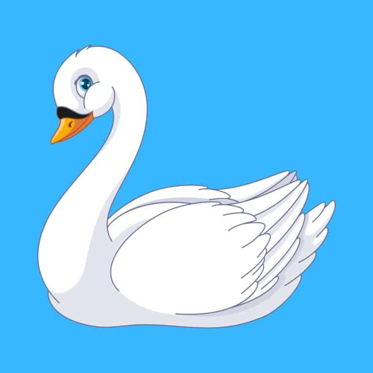 20 Funny Swan Puns