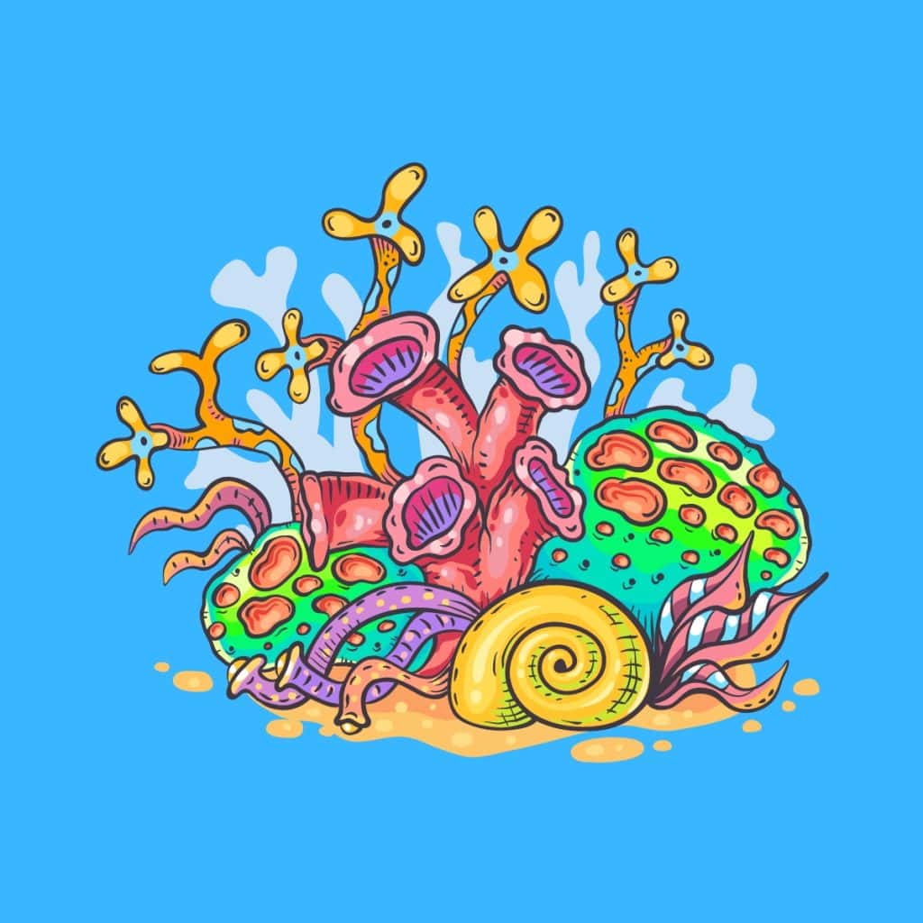 Cartoon graphic of a colorful group of coral with a snail shell on a blue background.