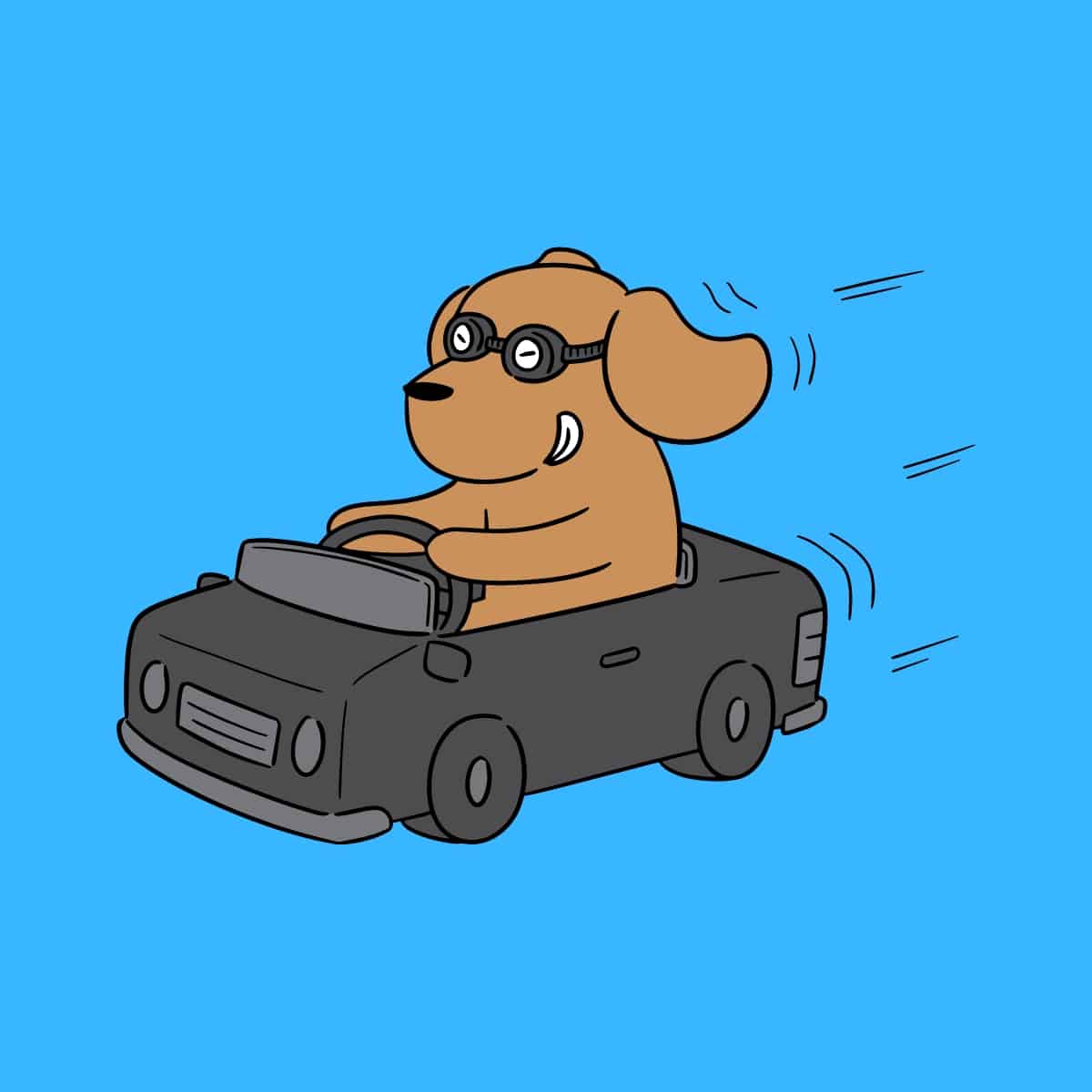 Cartoon graphic of a brown dog driving face while wearing goggles on a blue background.