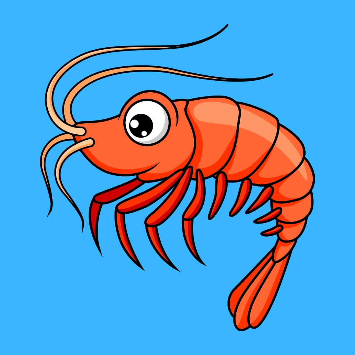 Cartoon graphic of a lovely smiling shrimp with long whiskers on blue background.